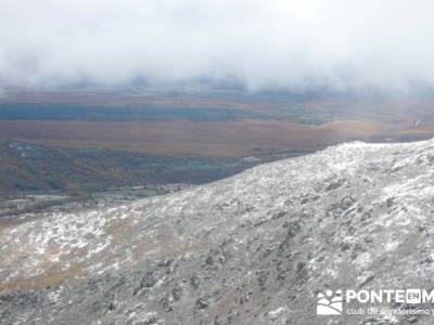 Hayedo de Pedrosa - Parque Natural Sierra Norte de Guadalajara - Hayedo de Tejera Negra